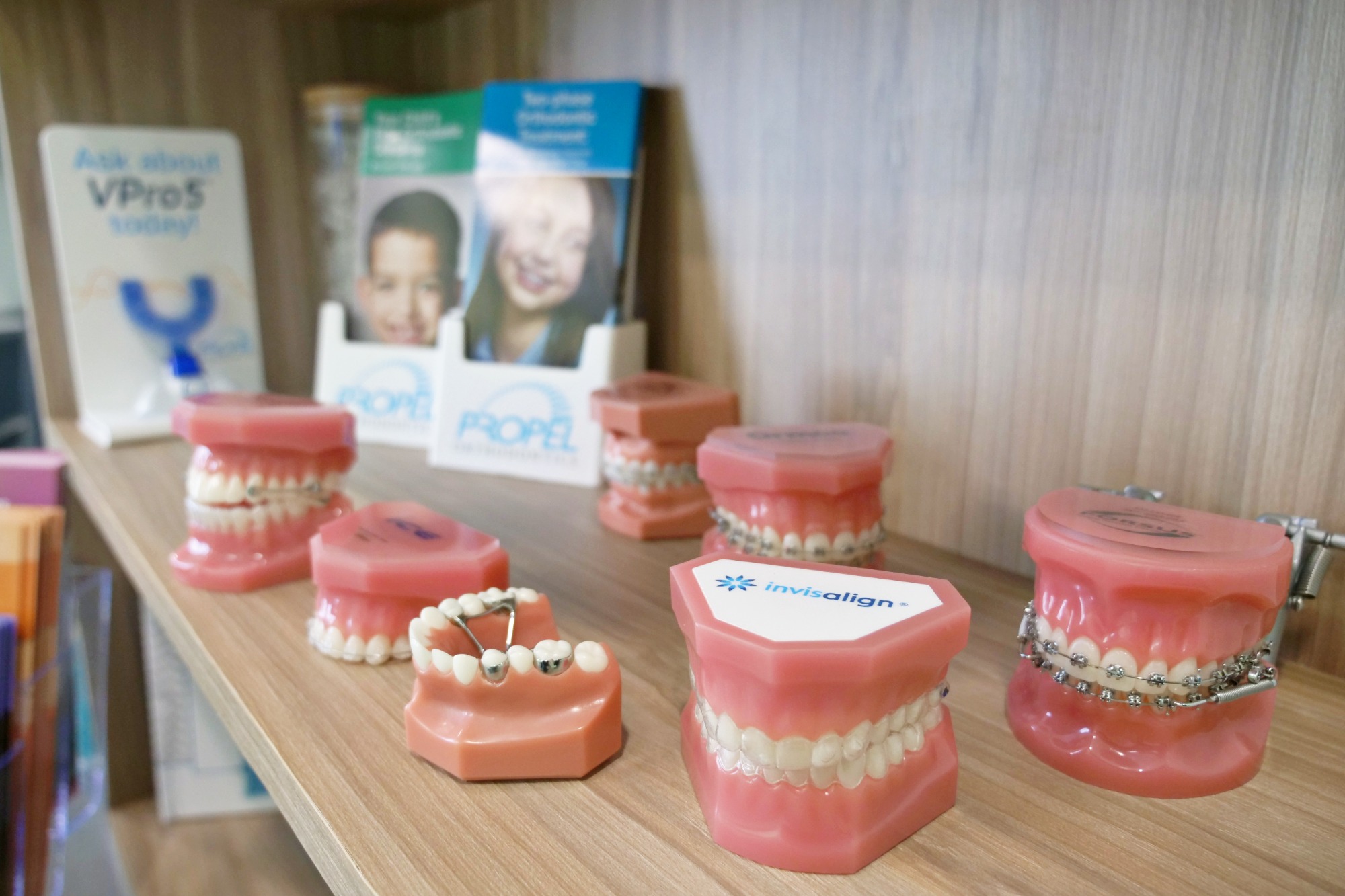 tooth models
